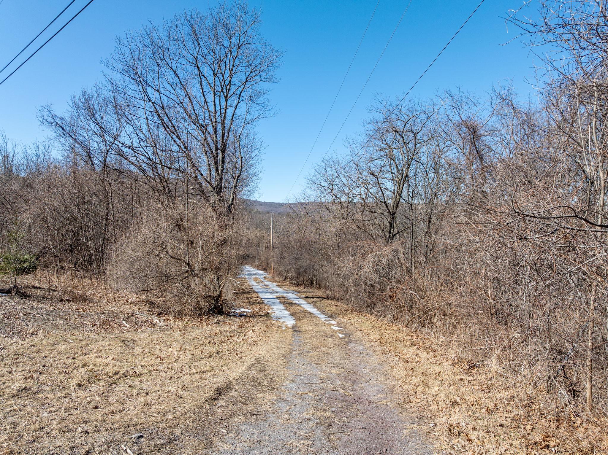 TBD W Abitz Road, Durham, New York image 34