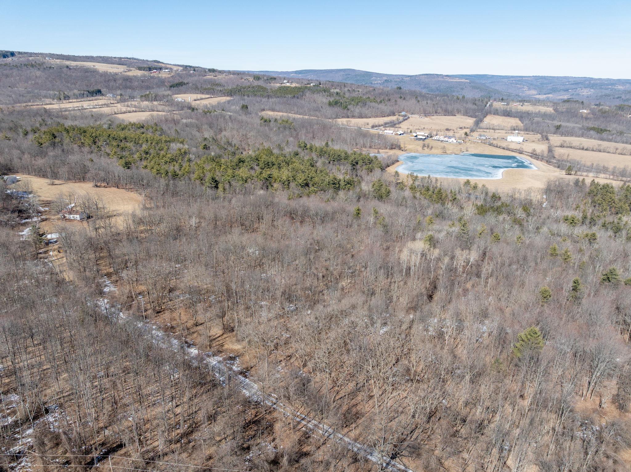 TBD W Abitz Road, Durham, New York image 17