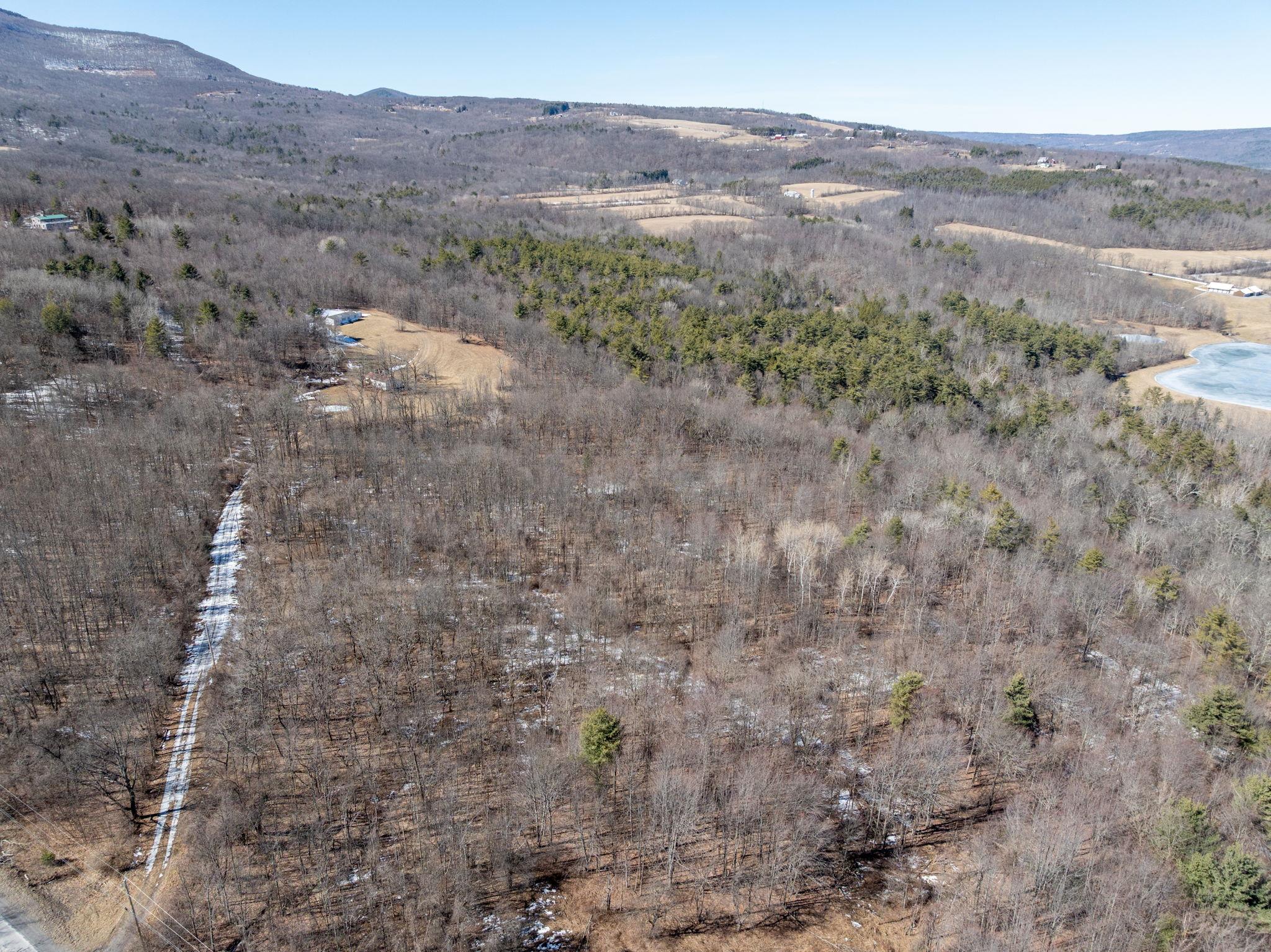 TBD W Abitz Road, Durham, New York image 31