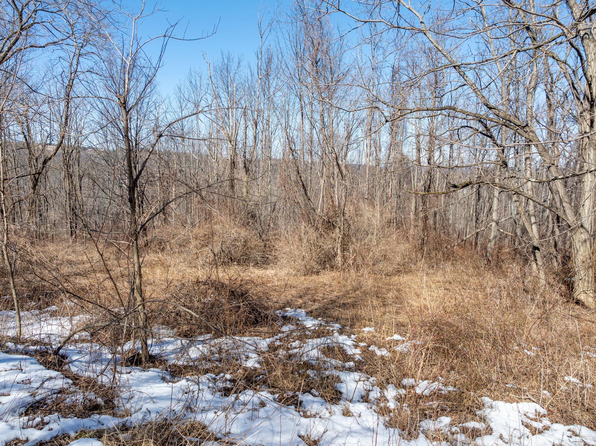 TBD W Abitz Road, Durham, New York image 40
