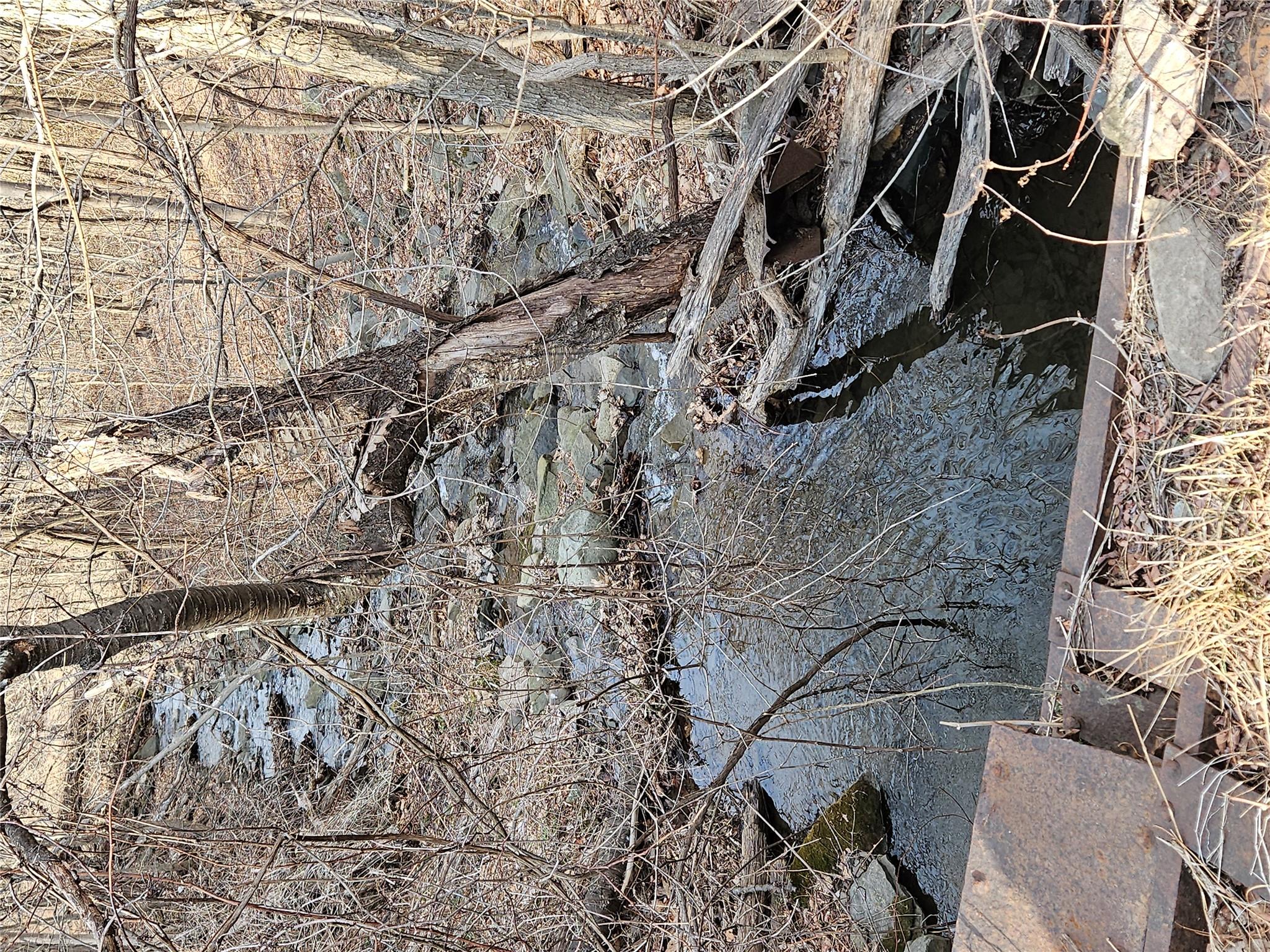 TBD W Abitz Road, Durham, New York image 8
