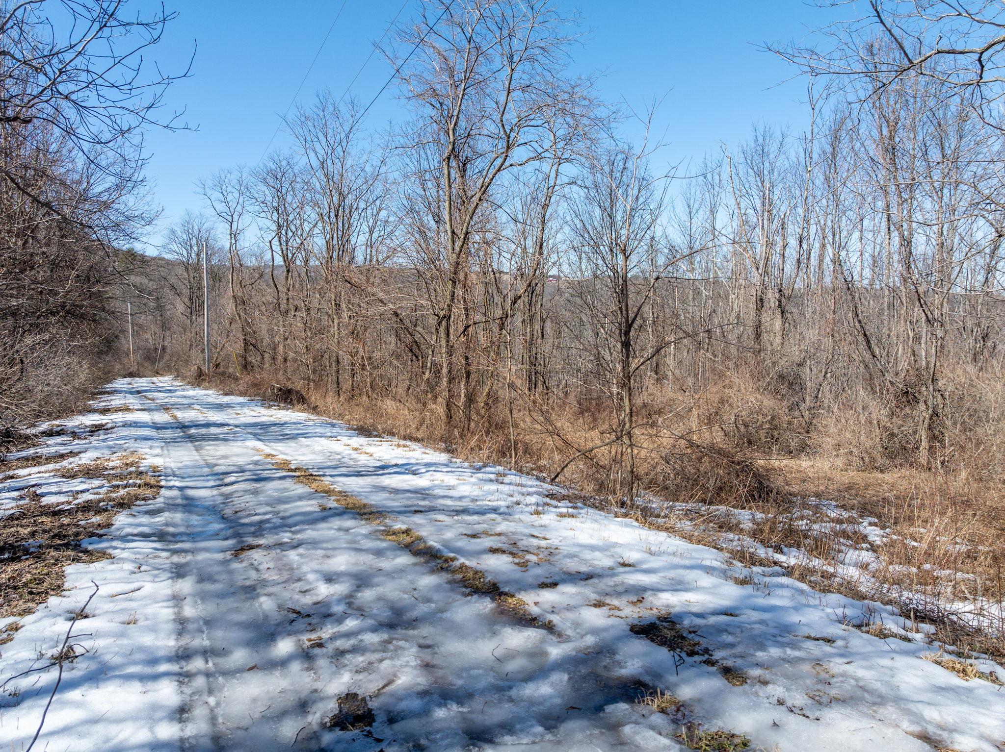 TBD W Abitz Road, Durham, New York image 11