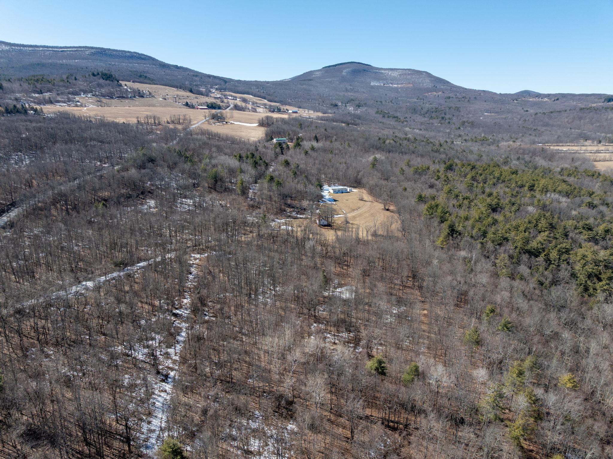 TBD W Abitz Road, Durham, New York image 29