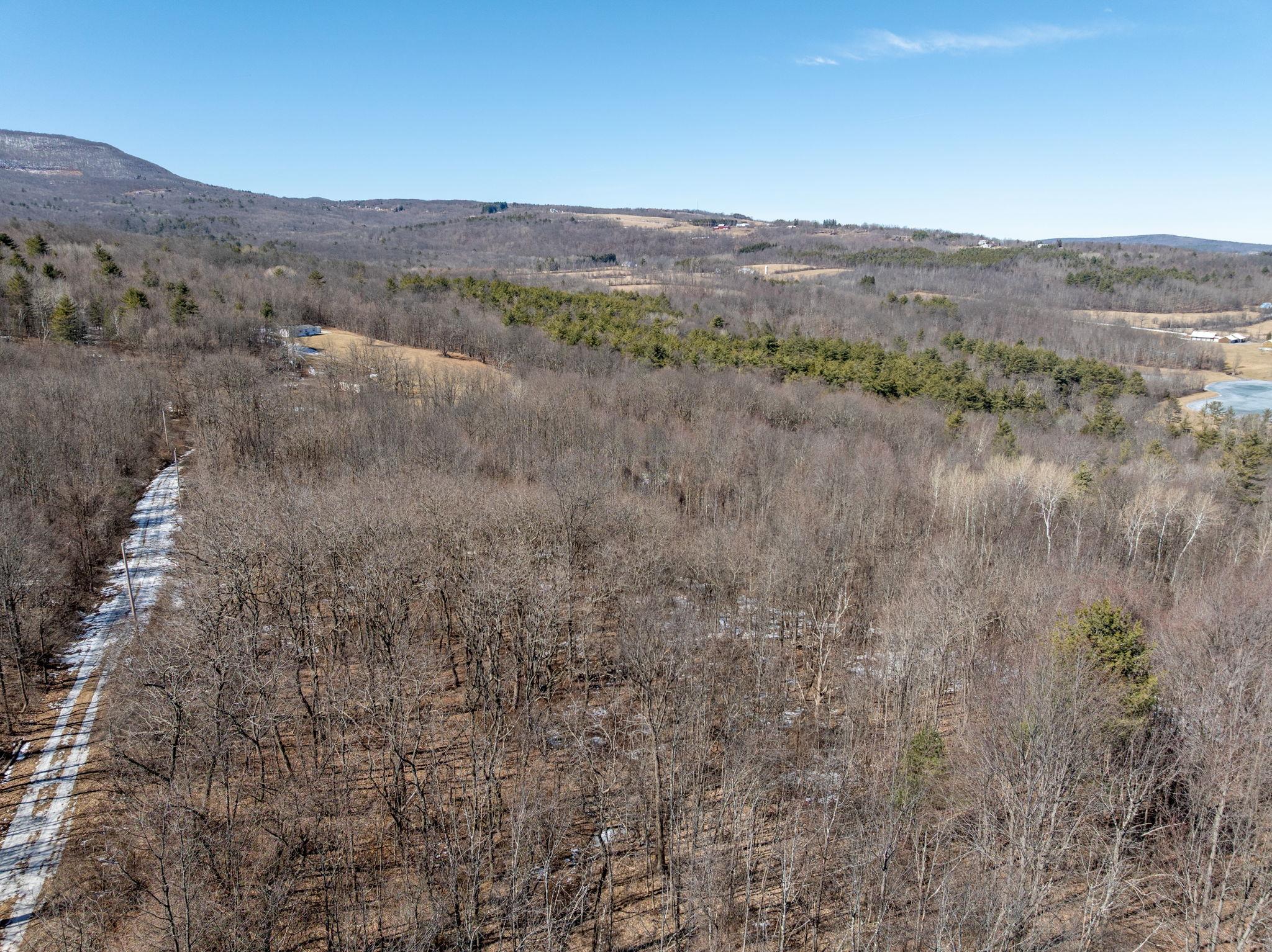 TBD W Abitz Road, Durham, New York image 12