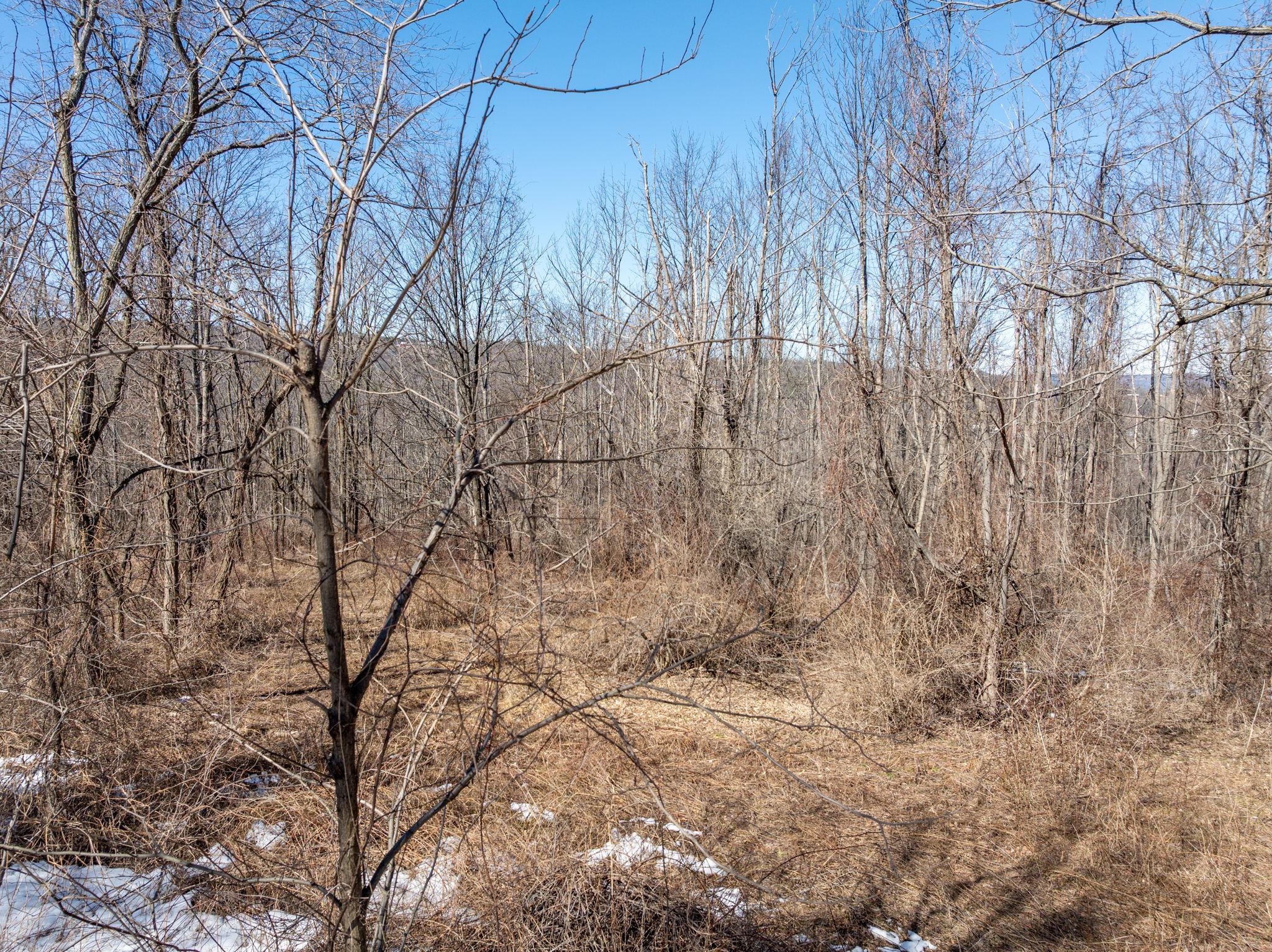 TBD W Abitz Road, Durham, New York image 39