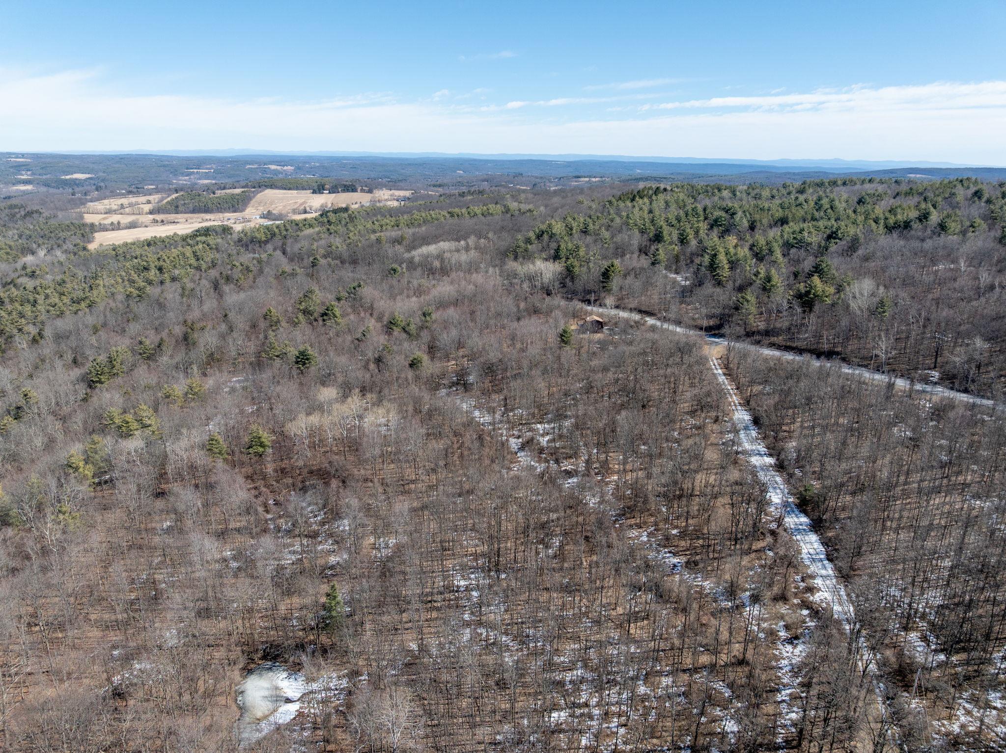 TBD W Abitz Road, Durham, New York image 23