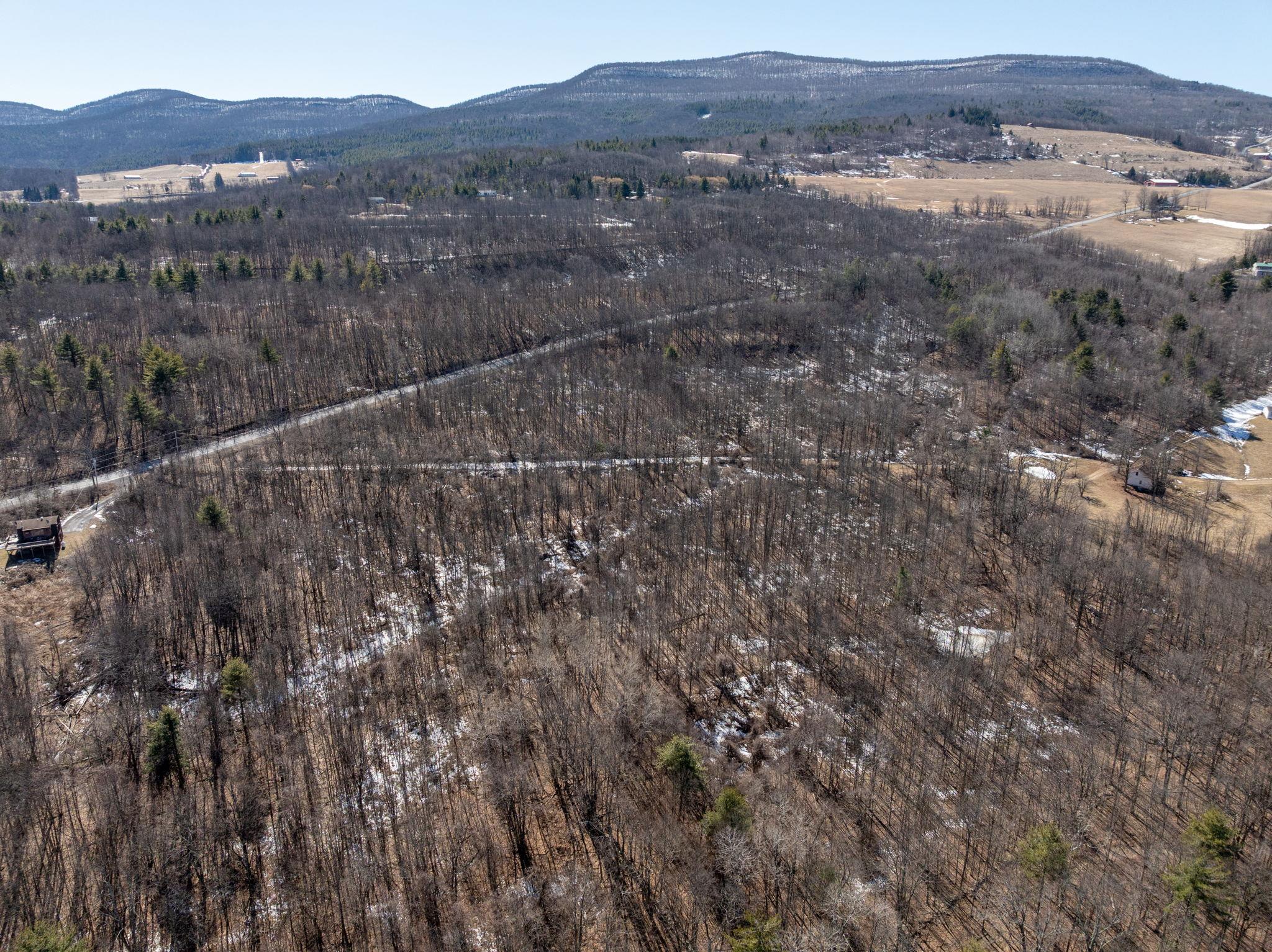 TBD W Abitz Road, Durham, New York image 28