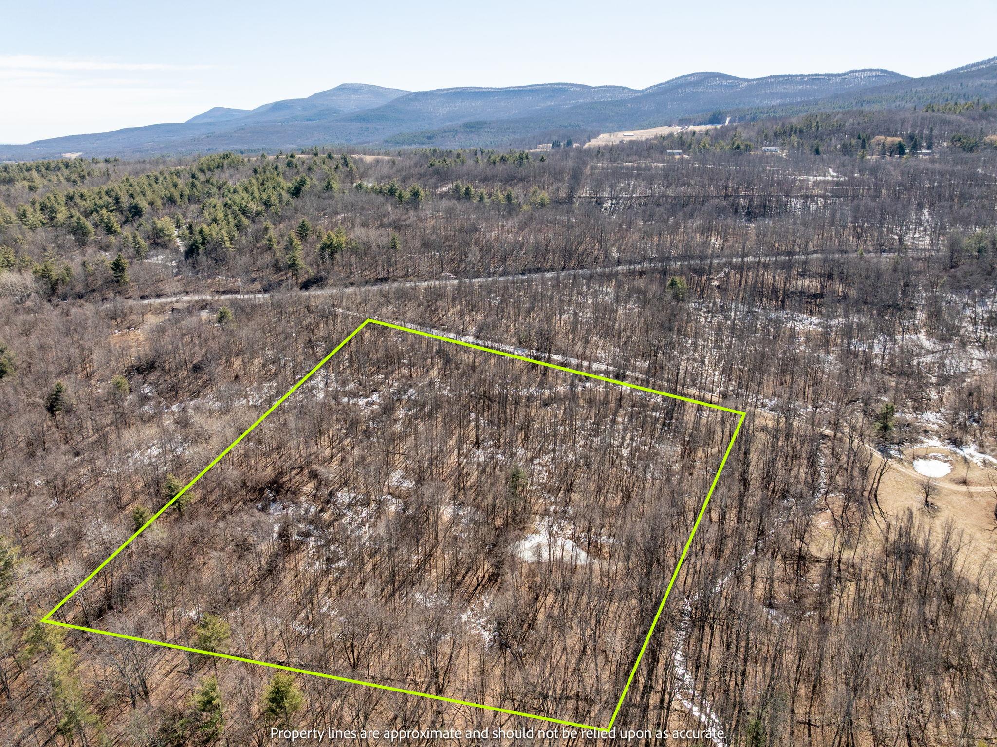 TBD W Abitz Road, Durham, New York image 7