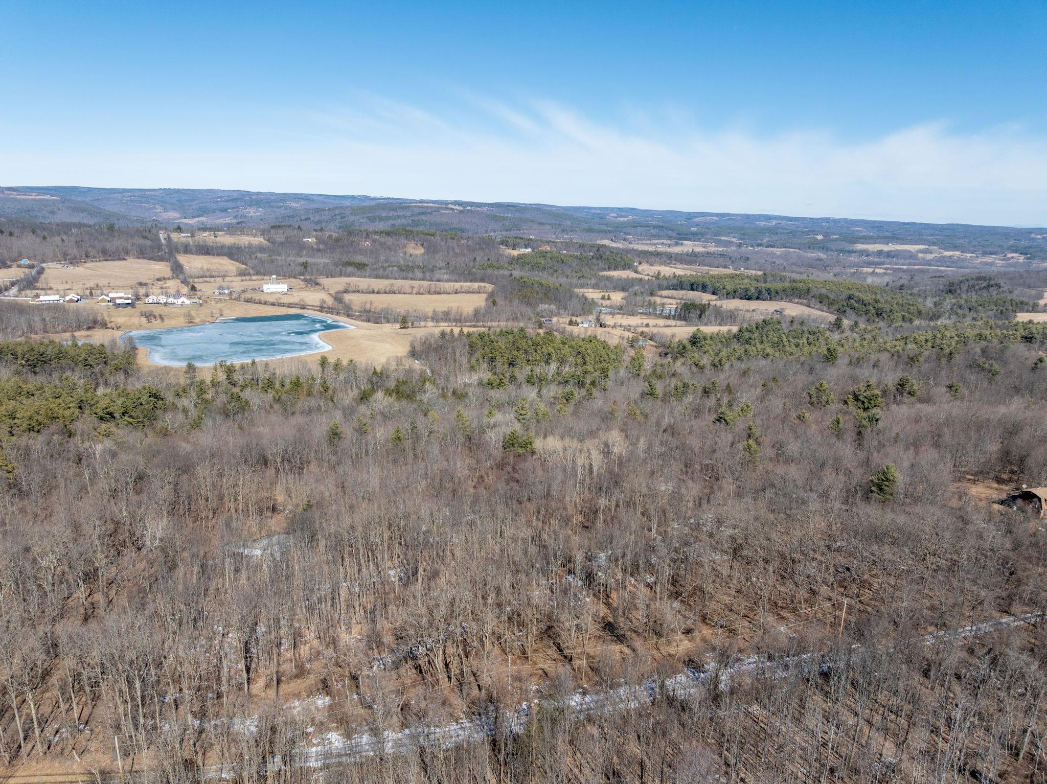 TBD W Abitz Road, Durham, New York image 19