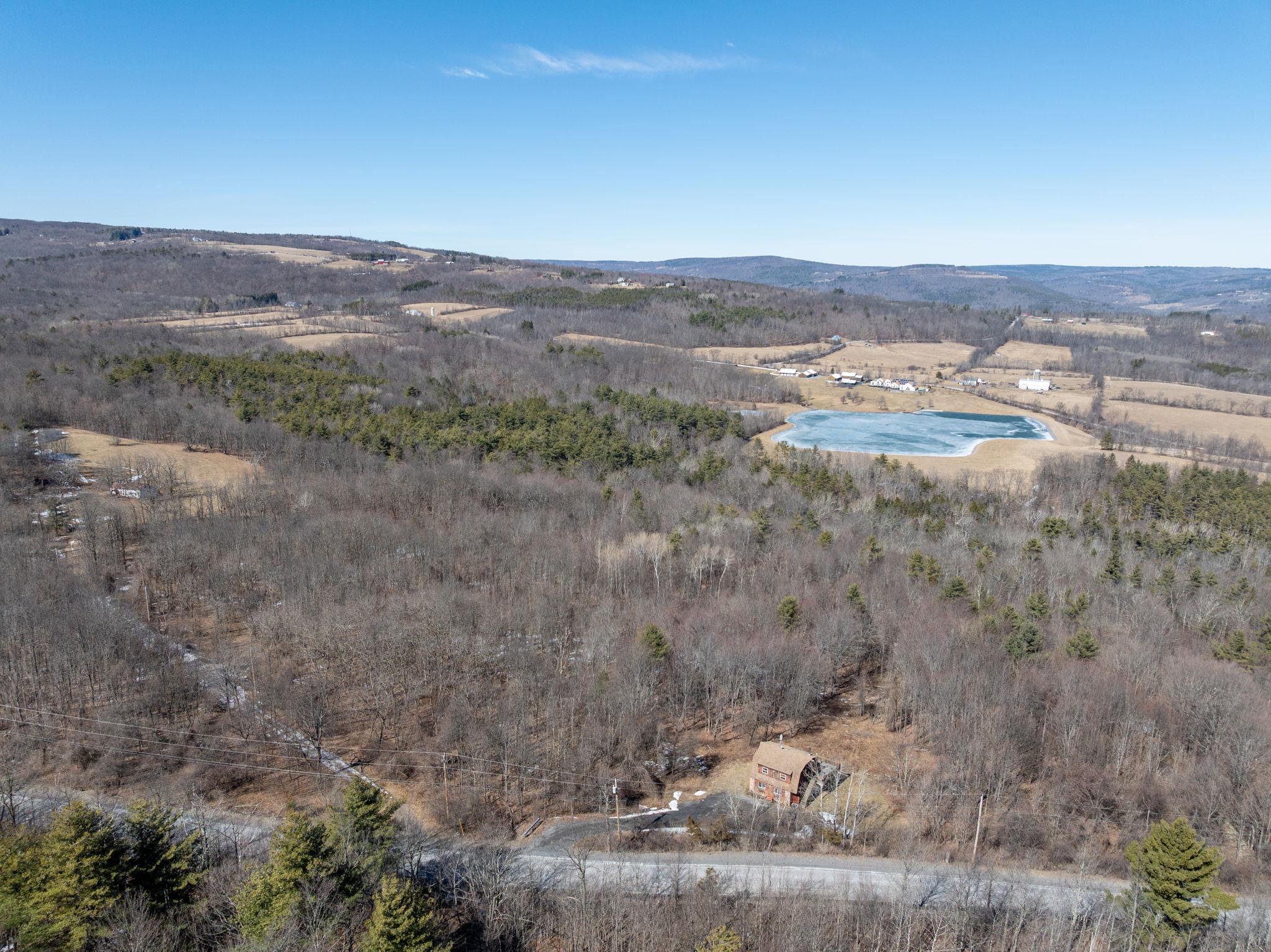 TBD W Abitz Road, Durham, New York image 13