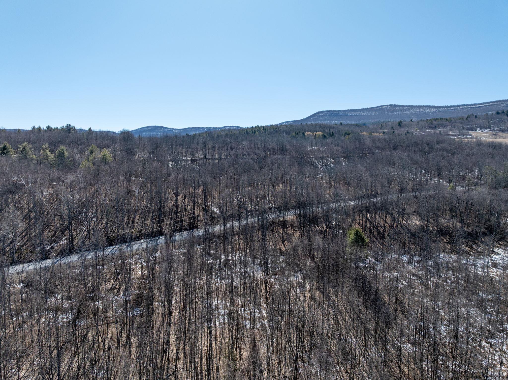 TBD W Abitz Road, Durham, New York image 38