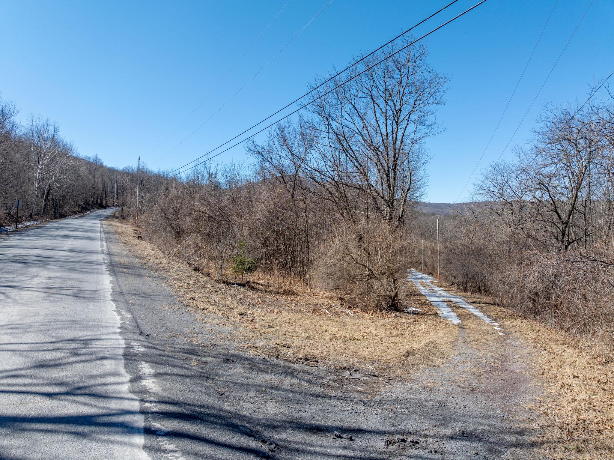 TBD W Abitz Road, Durham, New York image 9