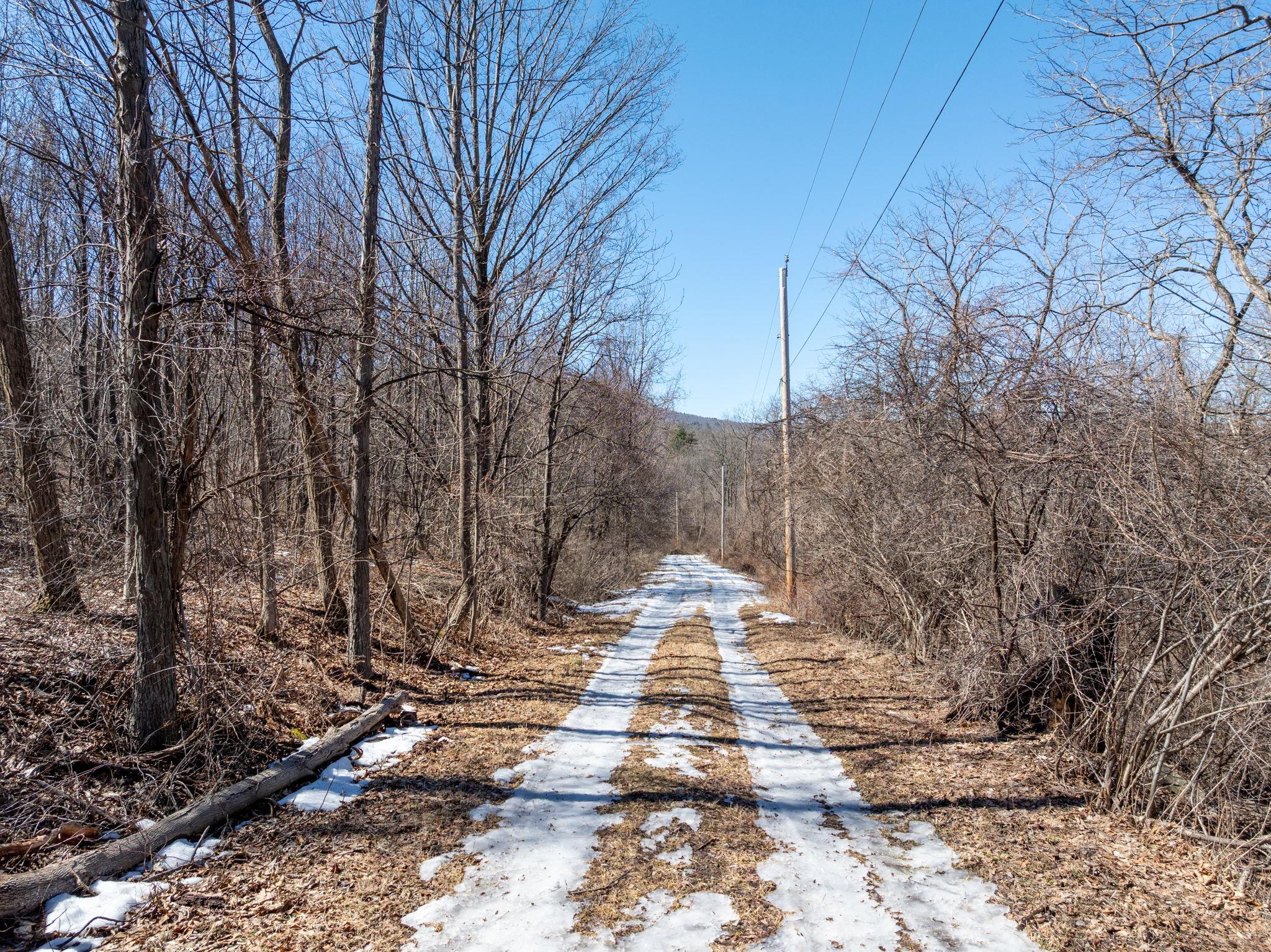 TBD W Abitz Road, Durham, New York image 10