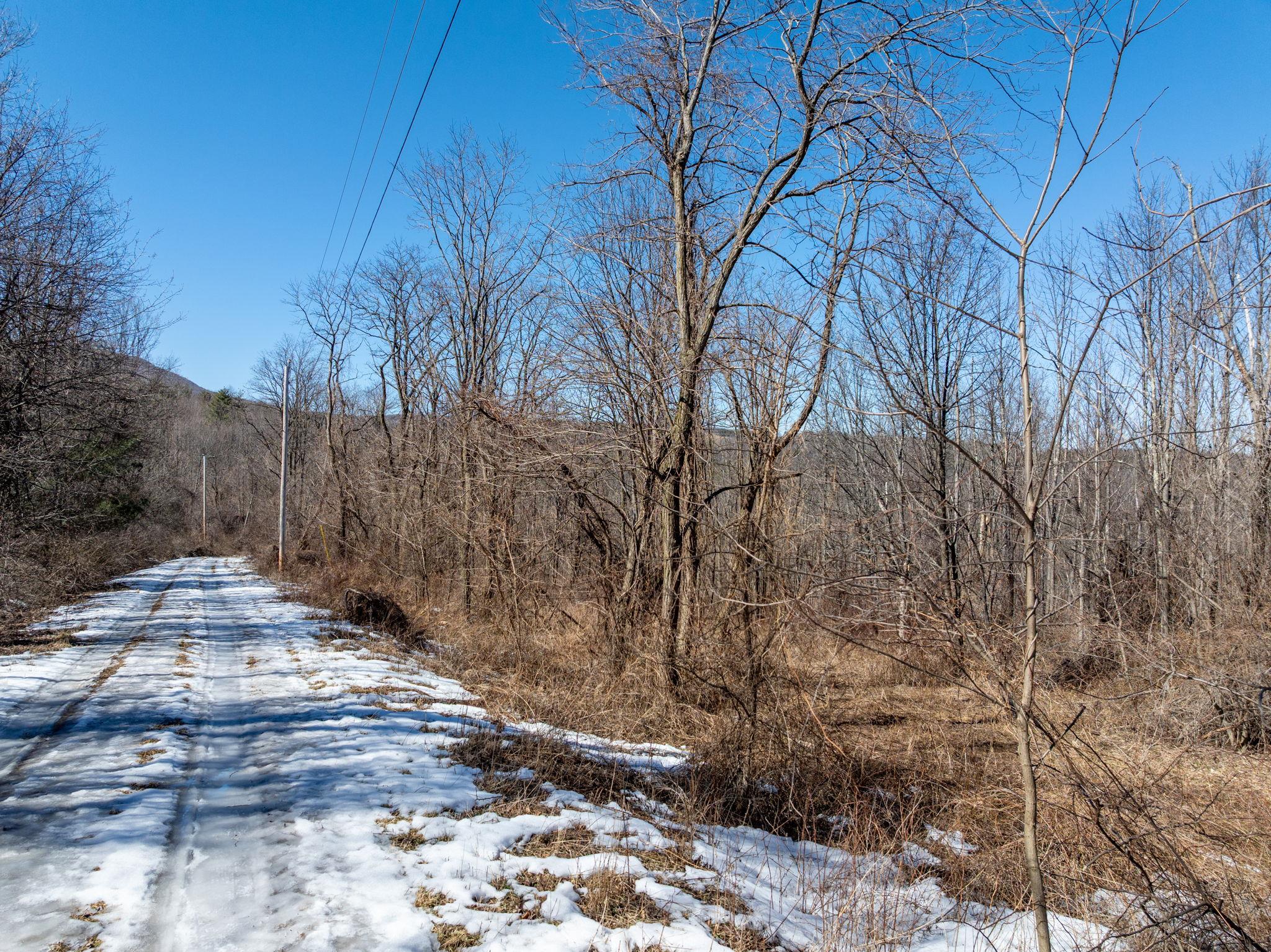 TBD W Abitz Road, Durham, New York image 35