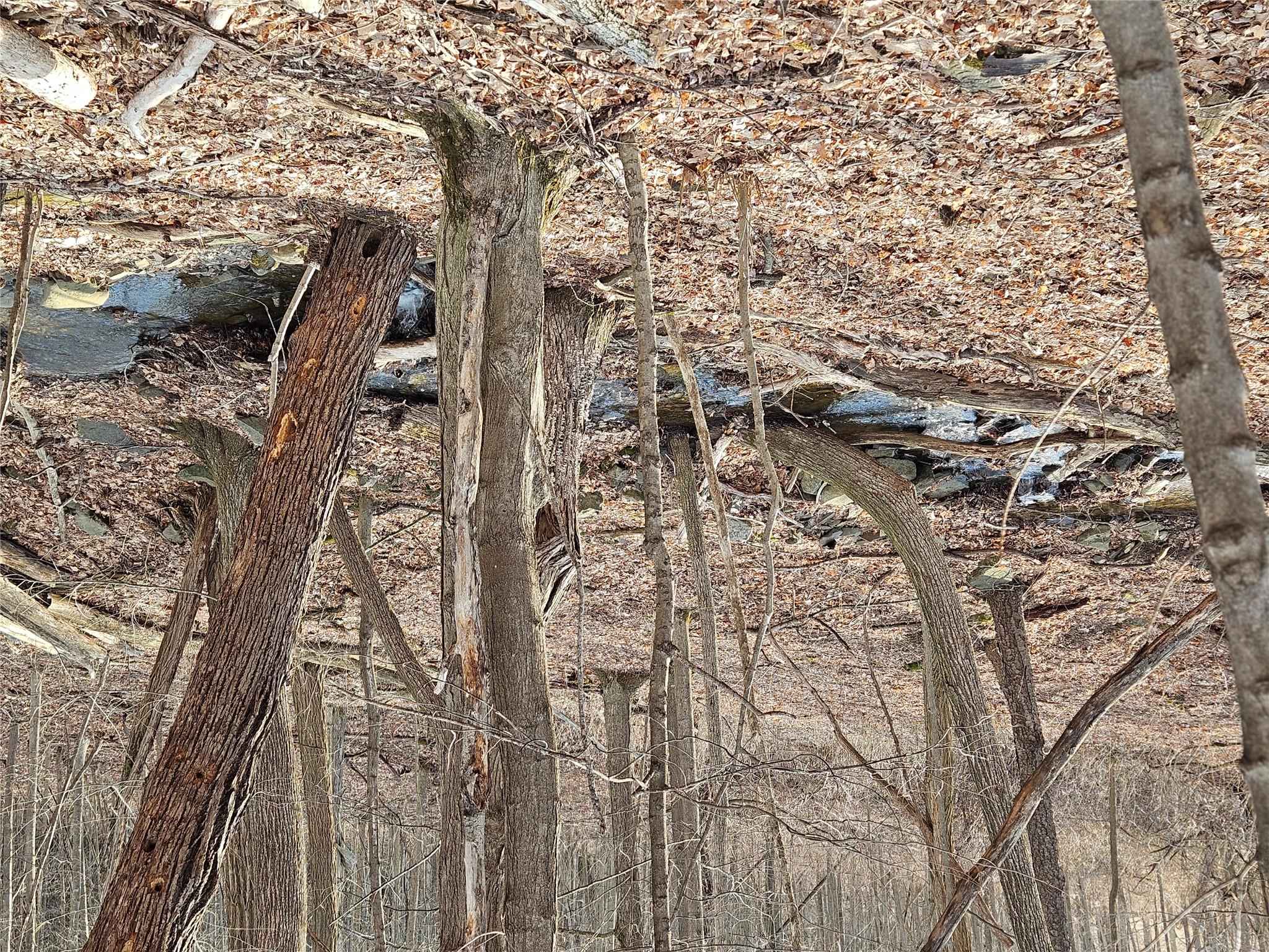 TBD W Abitz Road, Durham, New York image 2