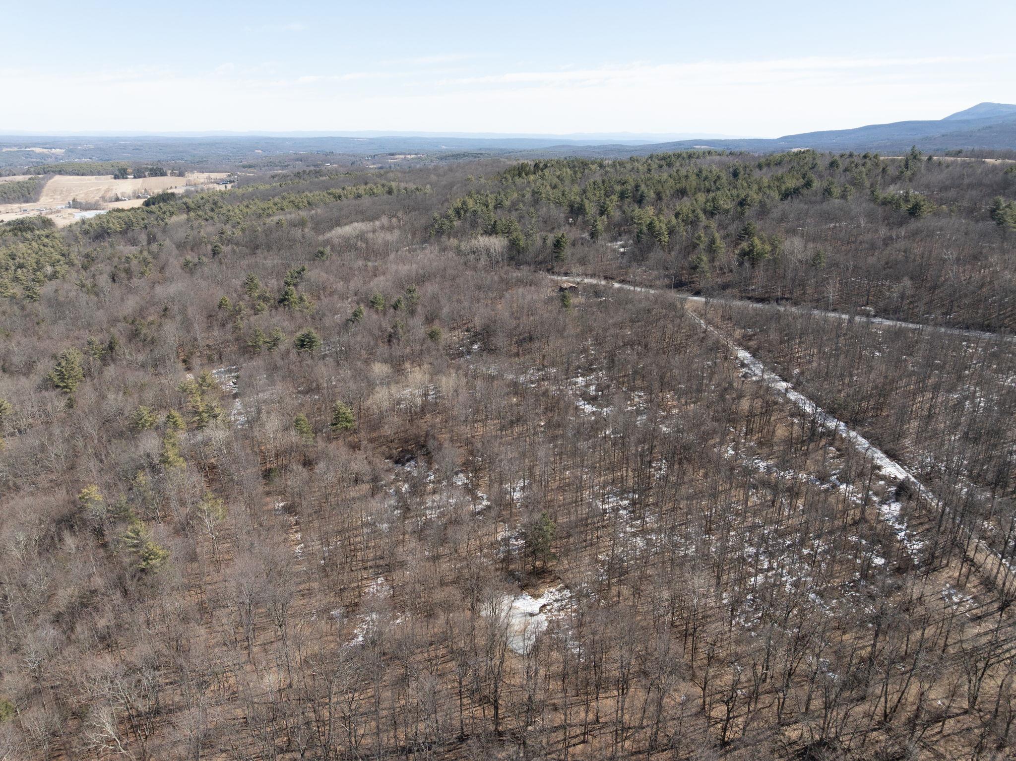 TBD W Abitz Road, Durham, New York image 25