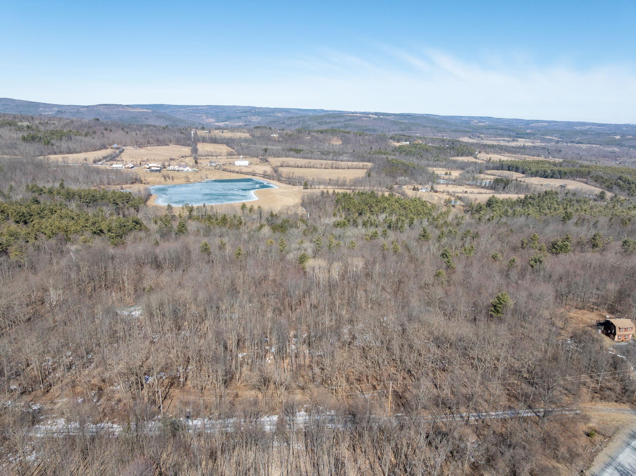 TBD W Abitz Road, Durham, New York image 18