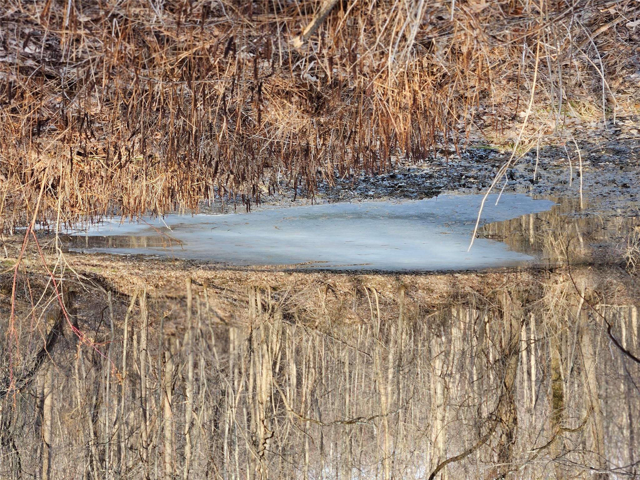 TBD W Abitz Road, Durham, New York image 6