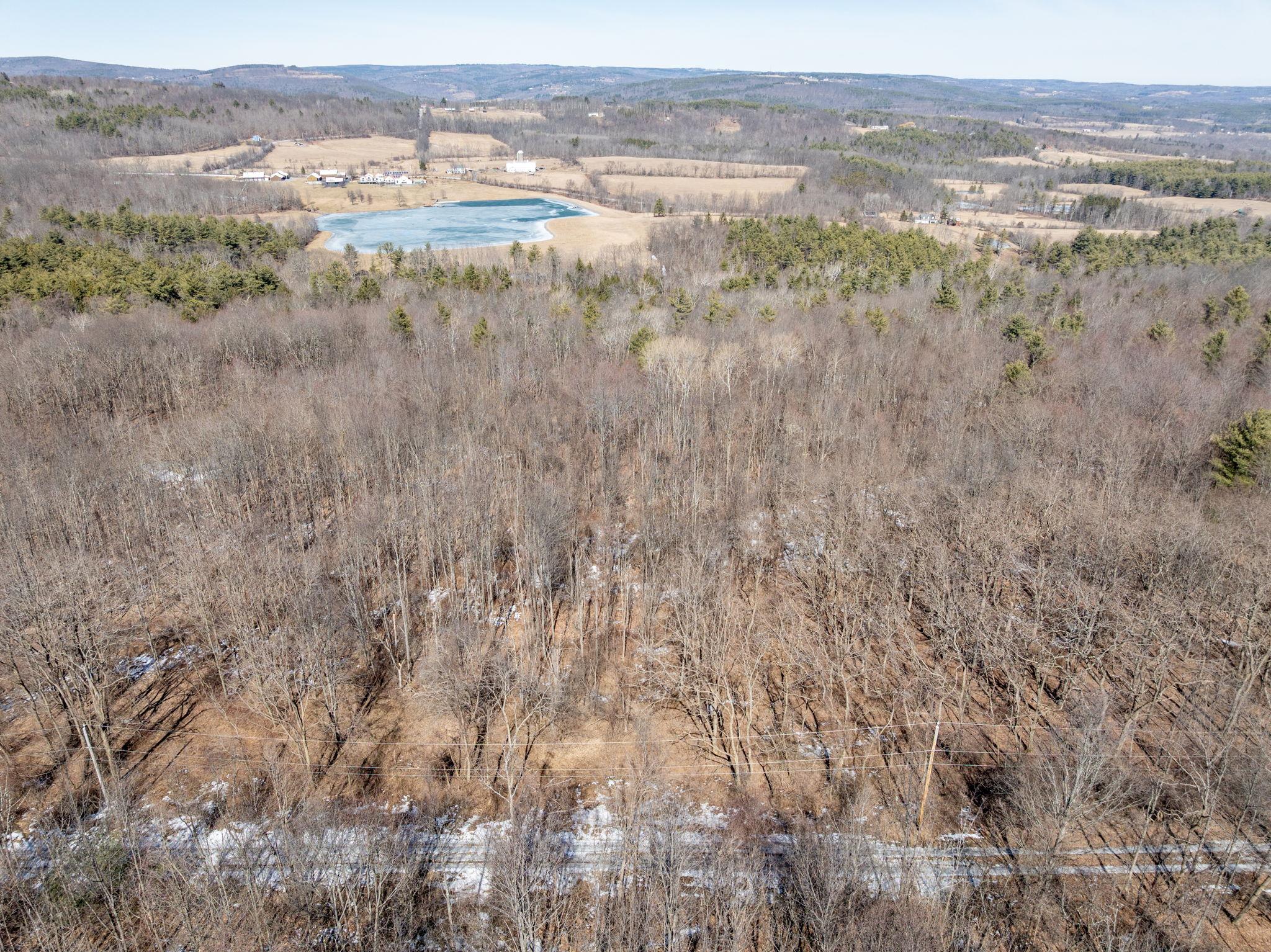 TBD W Abitz Road, Durham, New York image 37