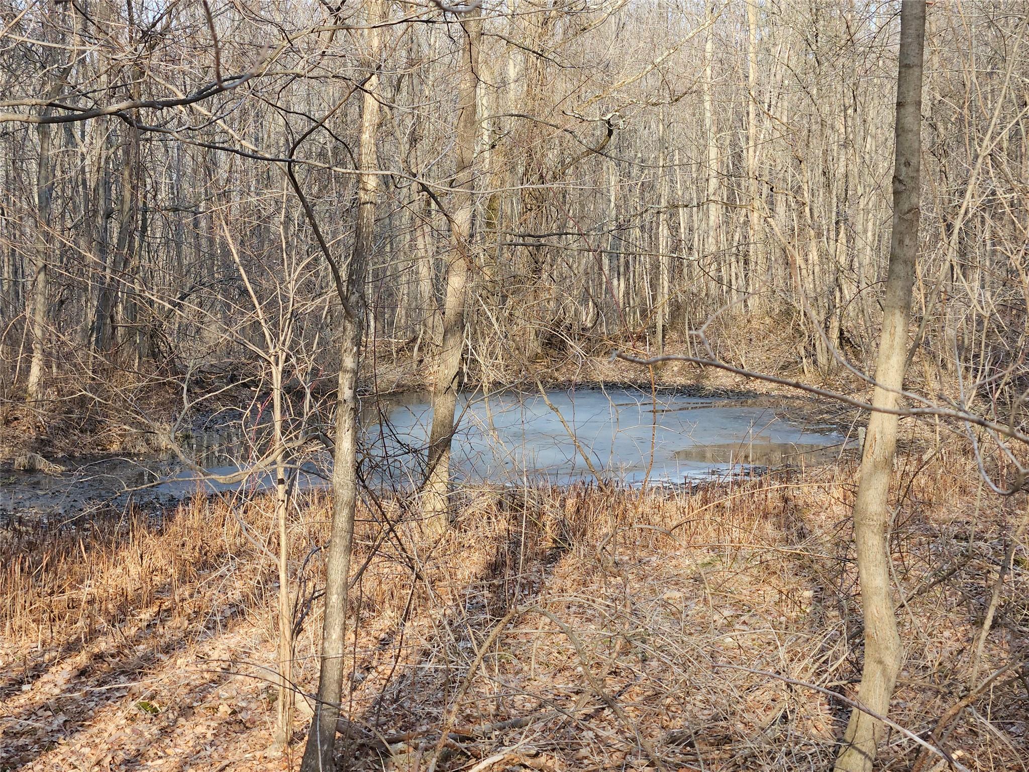 TBD W Abitz Road, Durham, New York image 20