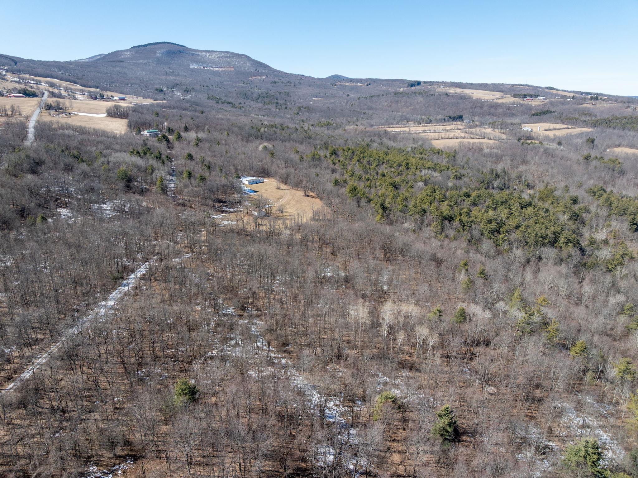 TBD W Abitz Road, Durham, New York image 30