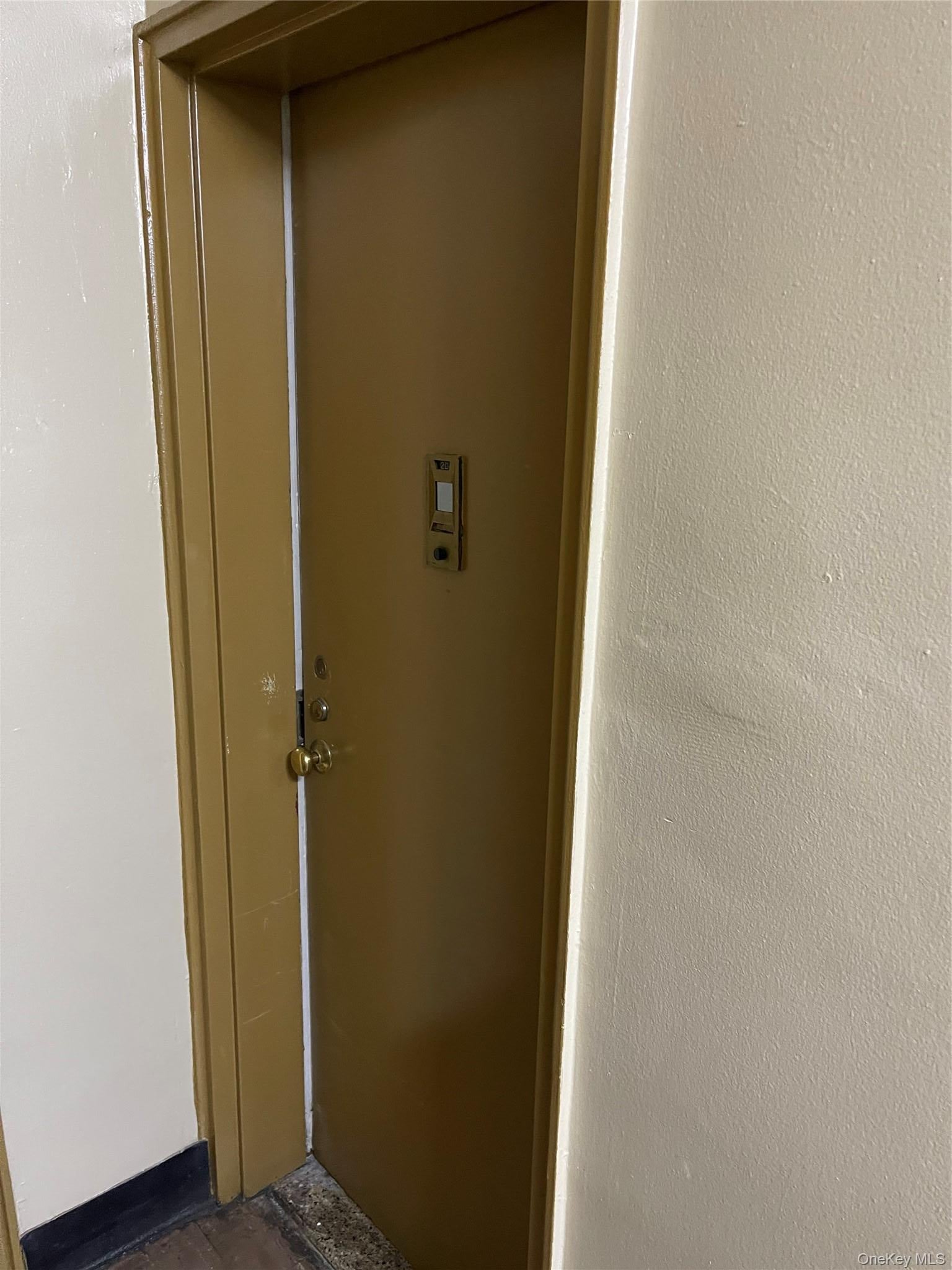 170-06 88th Avenue 2D - Photo 3