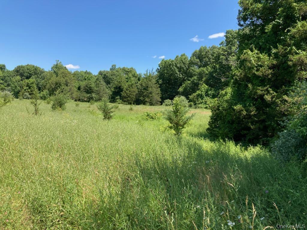 Town Center Boulevard