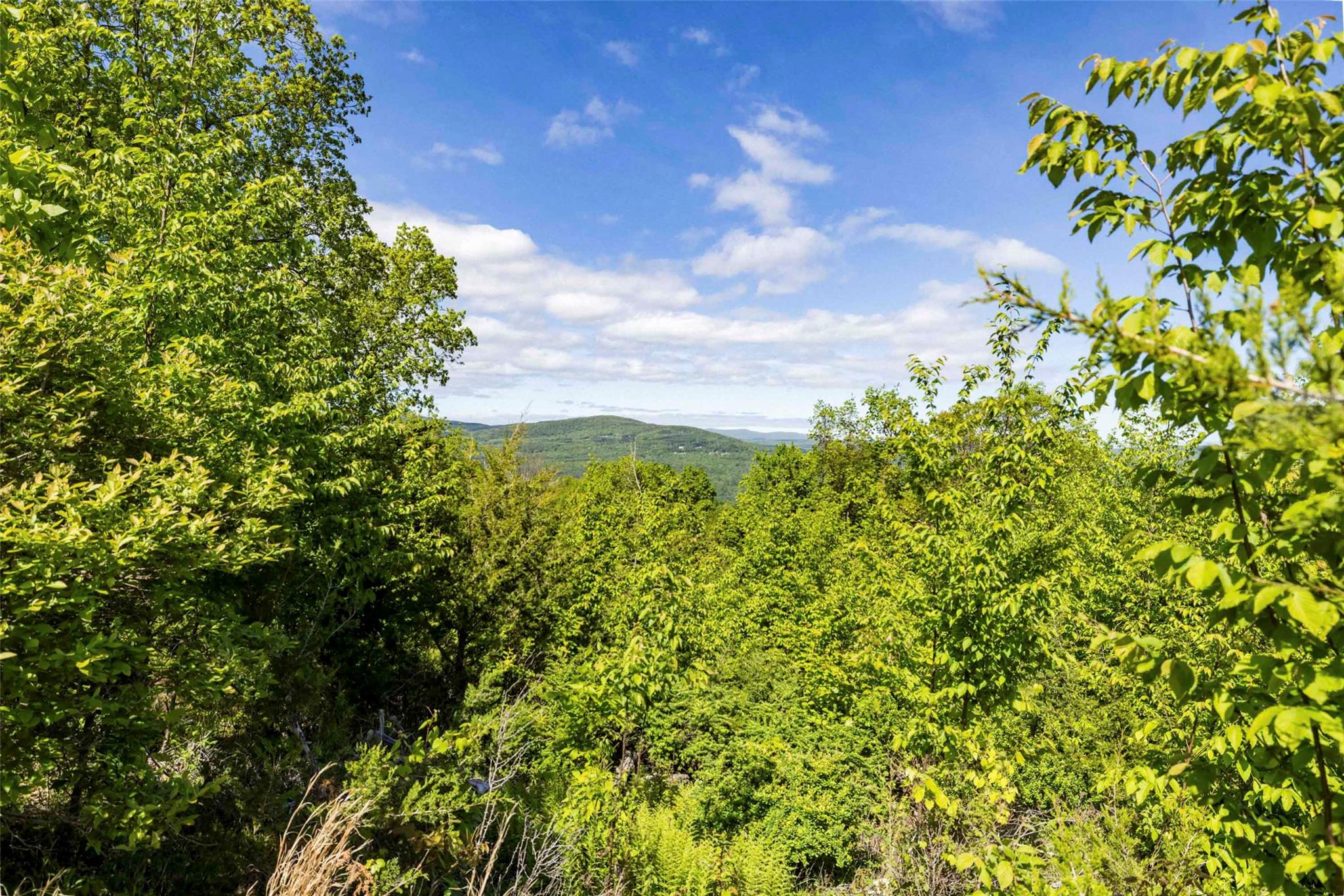 19 Red Rock Road, Wawarsing, New York image 9