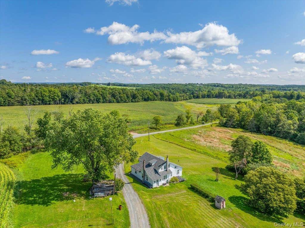 Photo of 21 Hans Fischer Road, Cochecton, NY 12726 (MLS # 1043096)