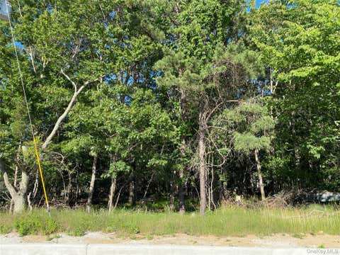 Vacant Land For Sale - Pleasant Avenue<br/> Medford, NY 11763
