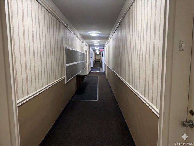 25 Elizabeth Street 1B