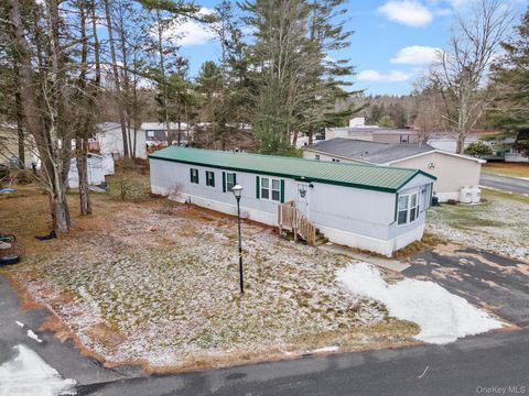 25 Pansy Lane Monticello NY 12701