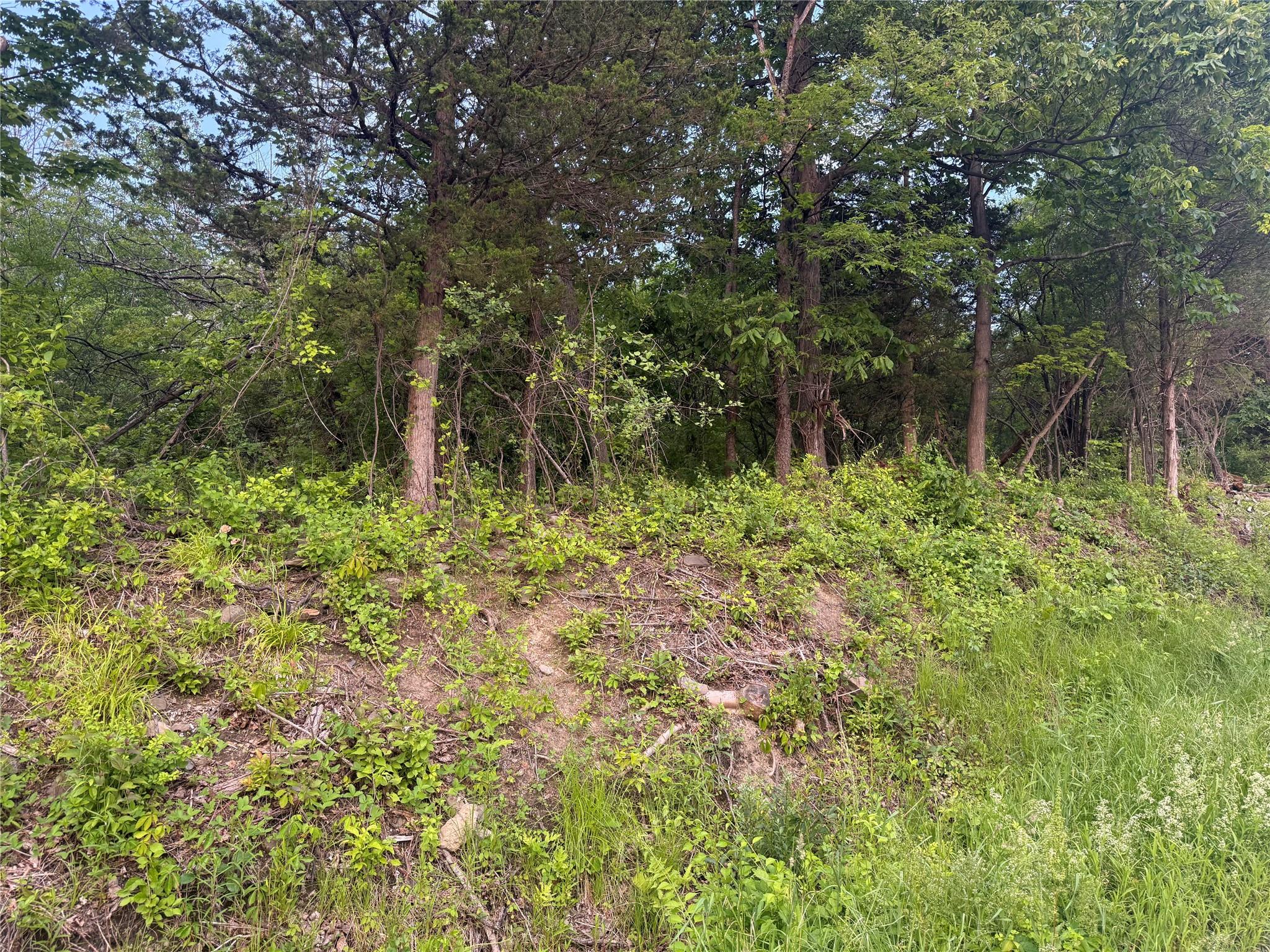 Old Ridge Rd, Warwick, New York image 3