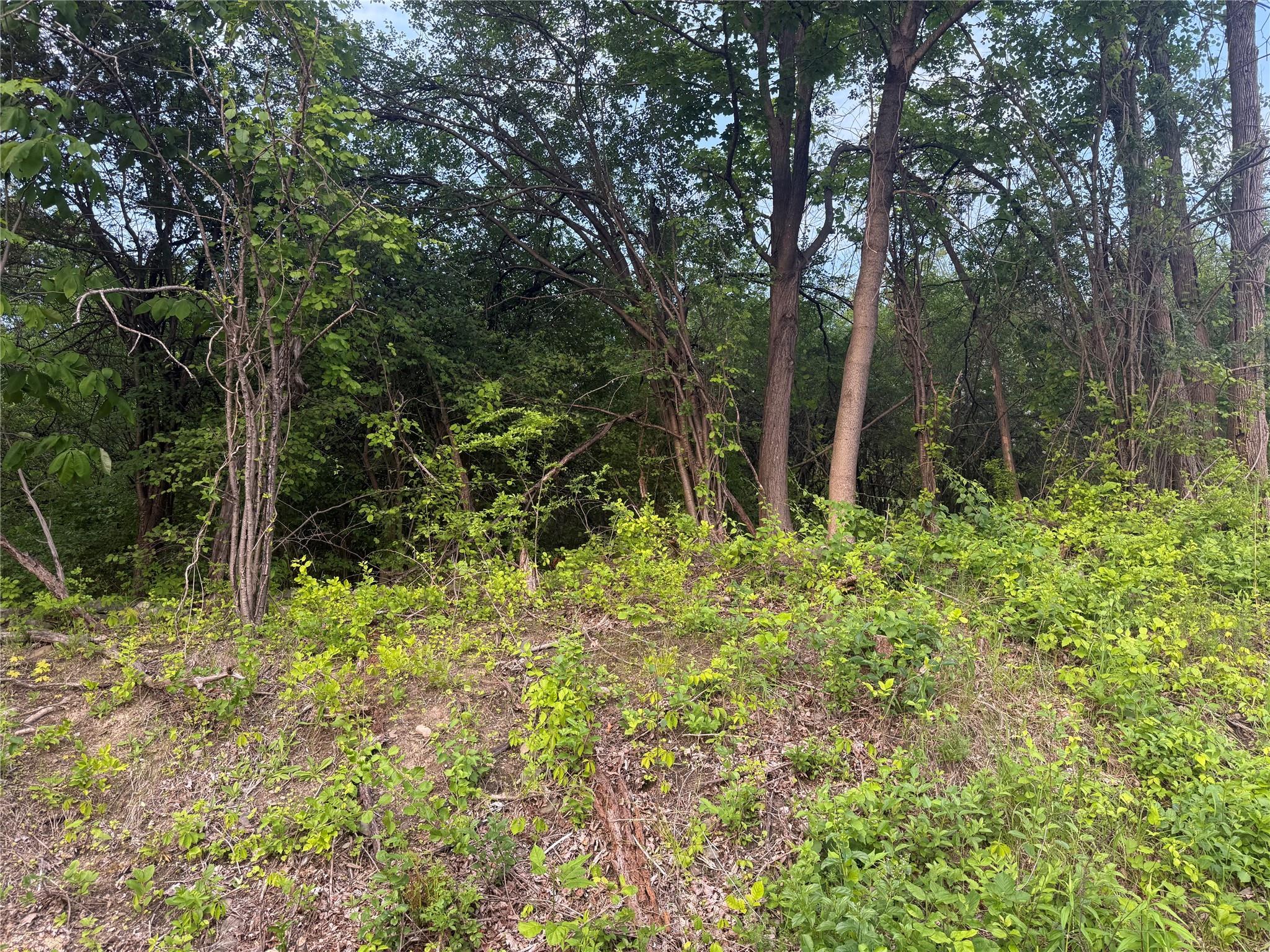 Old Ridge Rd, Warwick, New York image 6
