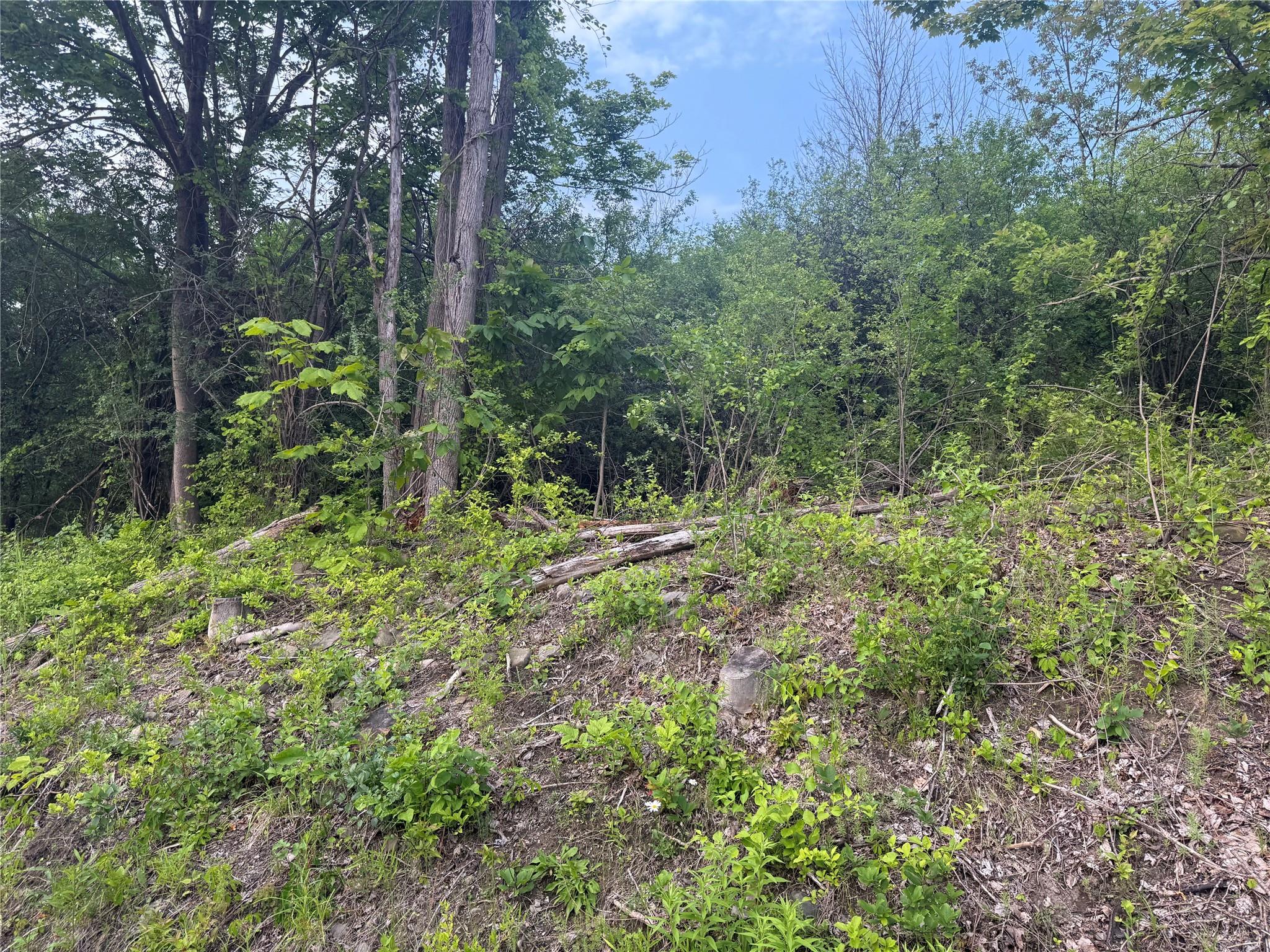 Old Ridge Rd, Warwick, New York image 5