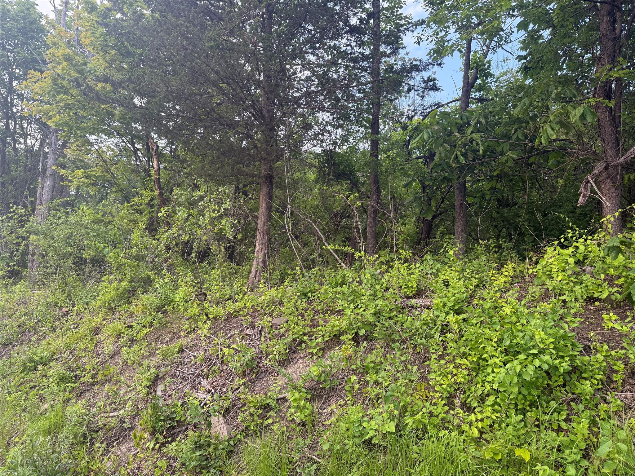 Old Ridge Rd, Warwick, New York image 4