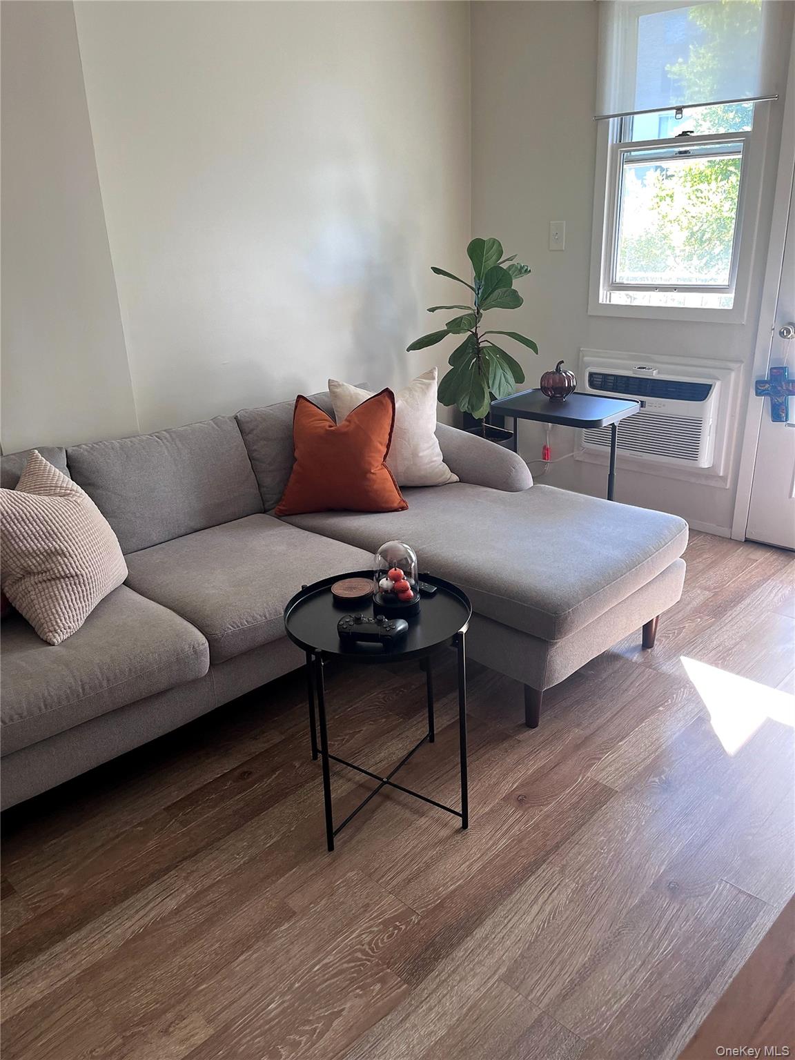 239 Orchard Street 2J