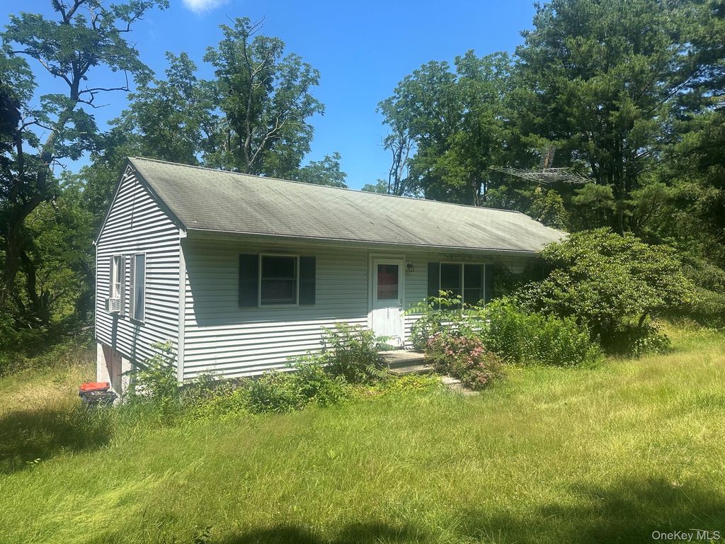 Photo of 187 Allen Road, Salt Point, NY 12578 (MLS # 1023614)