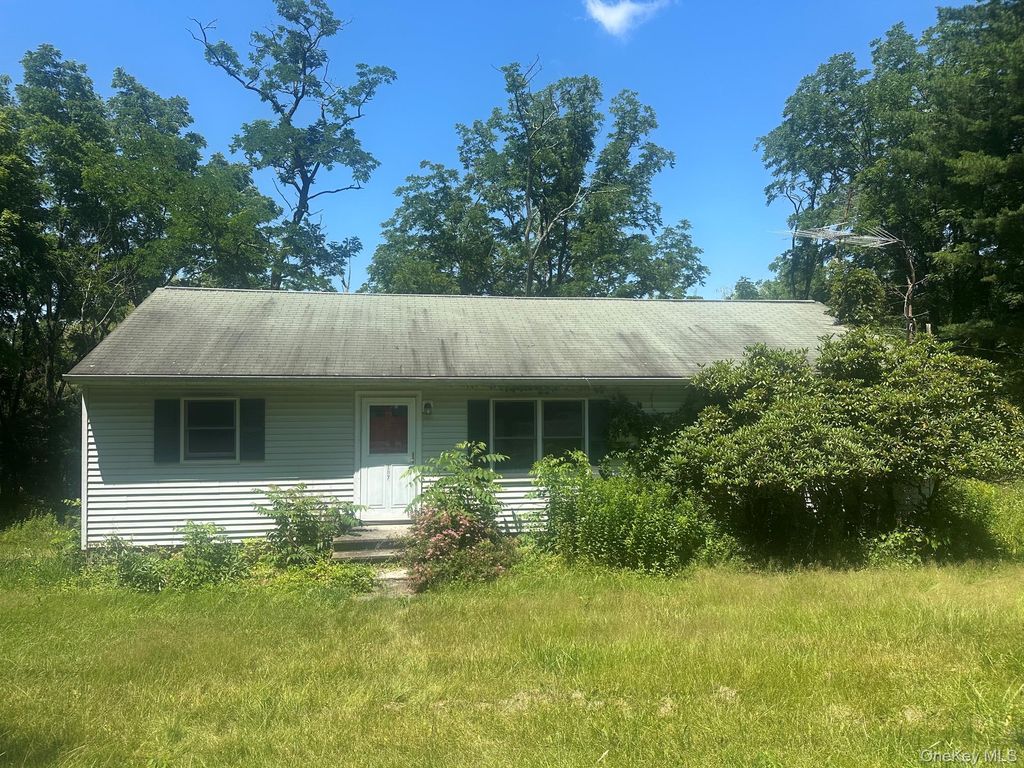 Photo of 187 Allen Road, Salt Point, NY 12578 (MLS # 1023614)