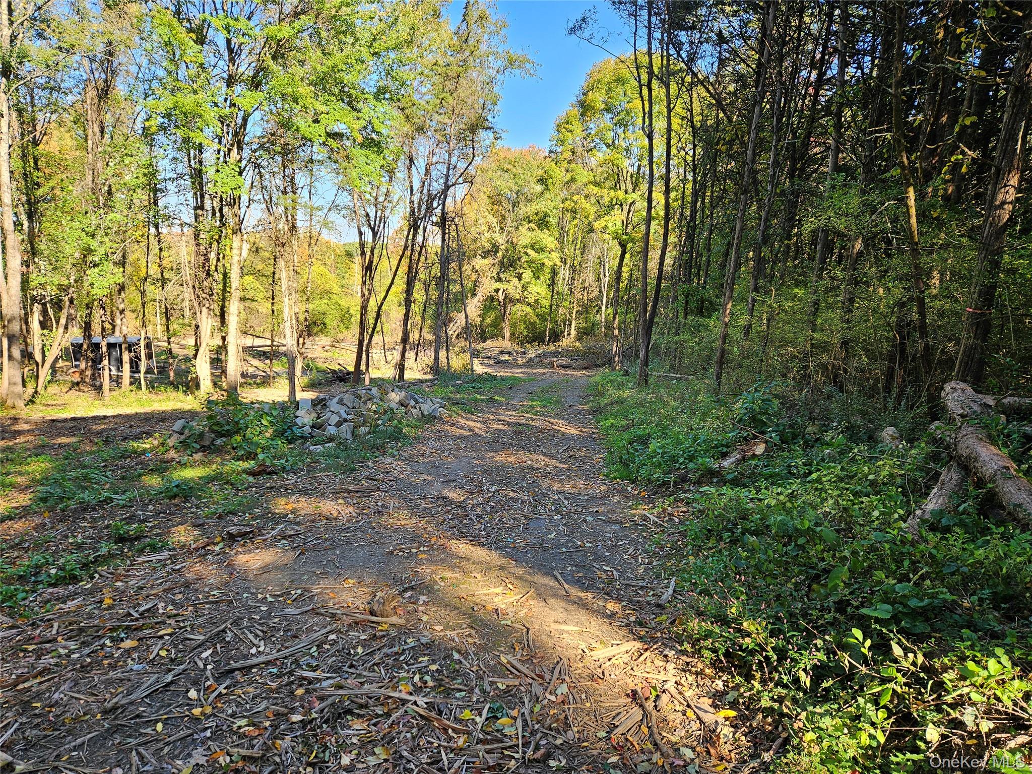 Halls Corners Rd