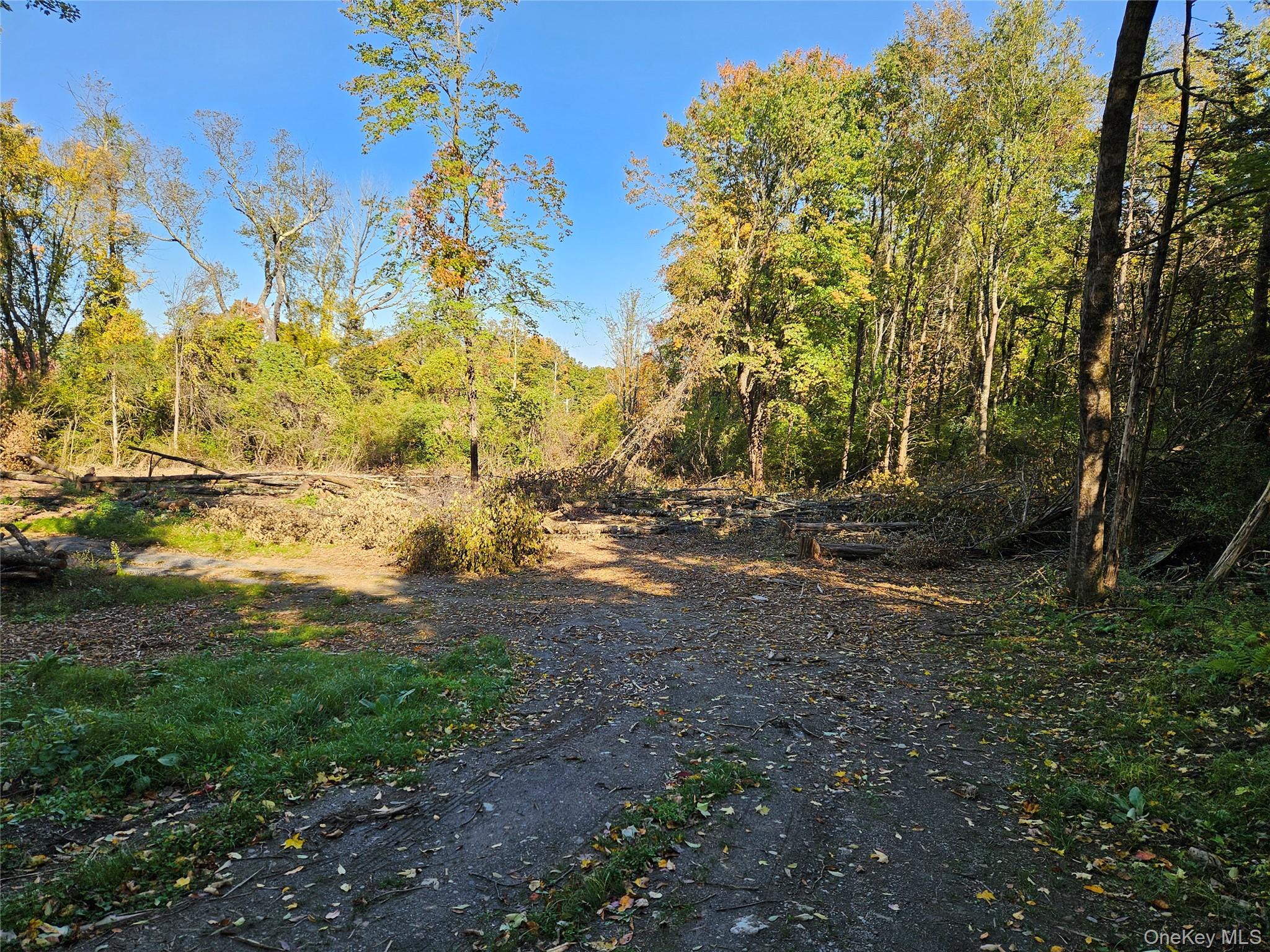 Halls Corners Rd