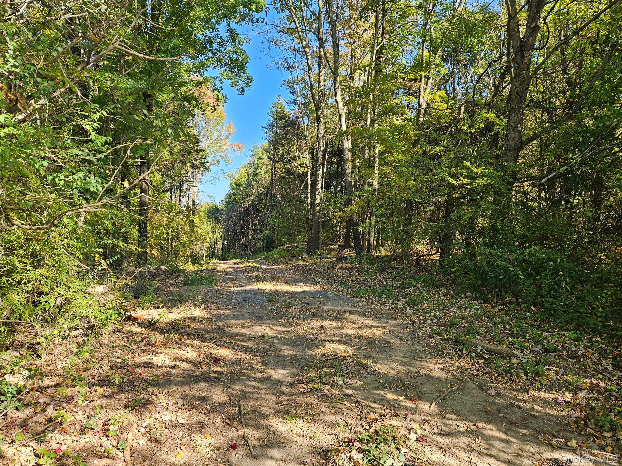 Halls Corners Rd