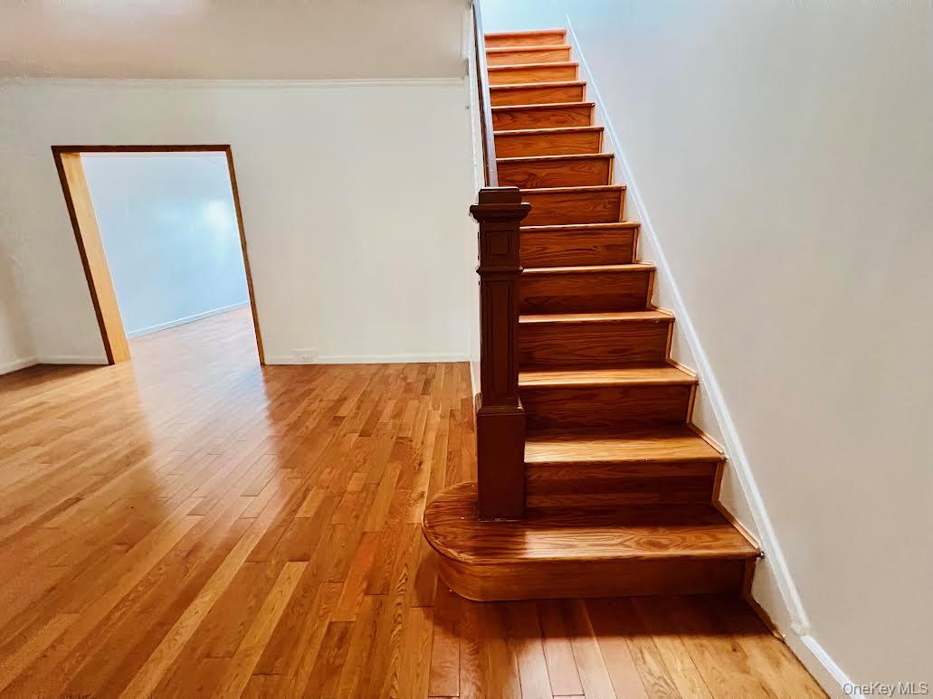 62-53 83rd Street