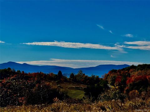 Vacant Land For Sale - 631 Rt-23<br/> Claverack, NY 12530