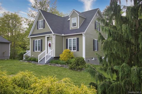54 Shore Drive Elizaville NY 12523