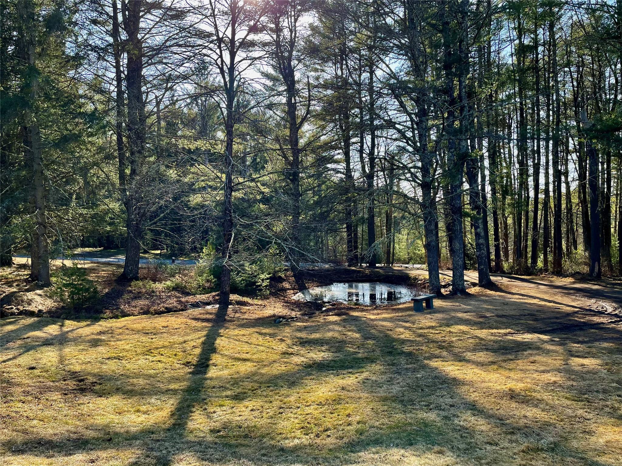 53 N Proctor Road, Eldred, New York image 39