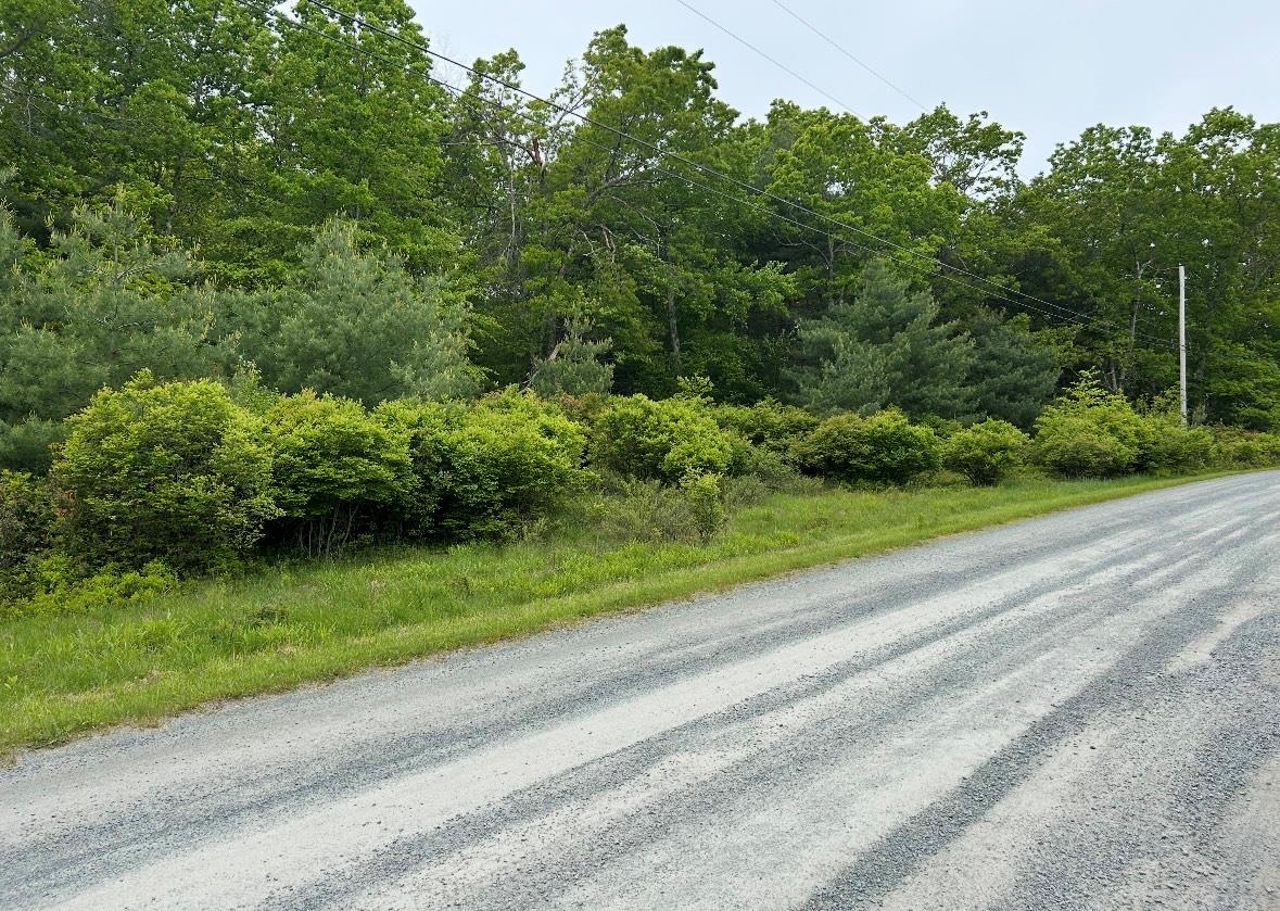 Lot 45 Split Rock Drive, Barryville, New York image 3