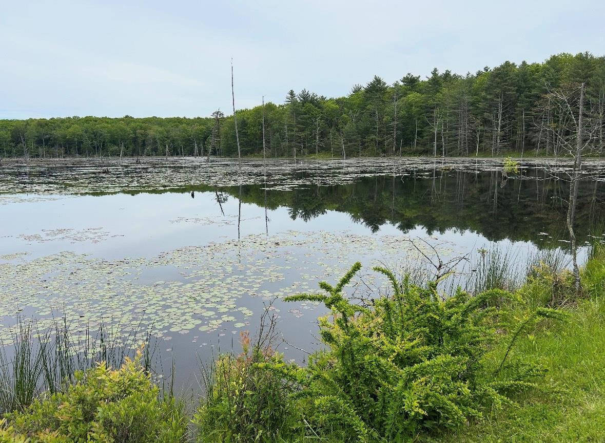 Lot 45 Split Rock Drive, Barryville, New York image 2