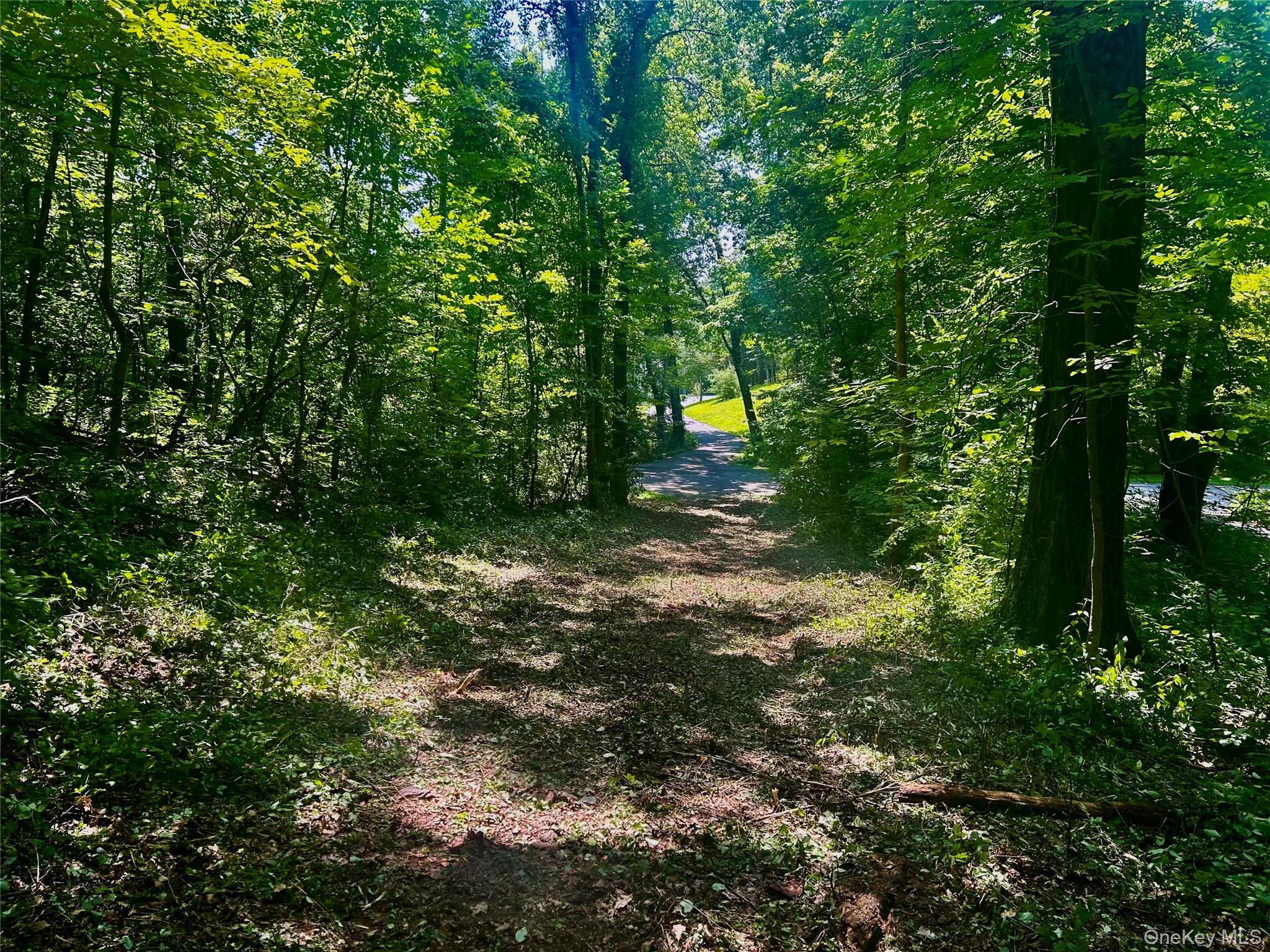 109 Deer Run Road