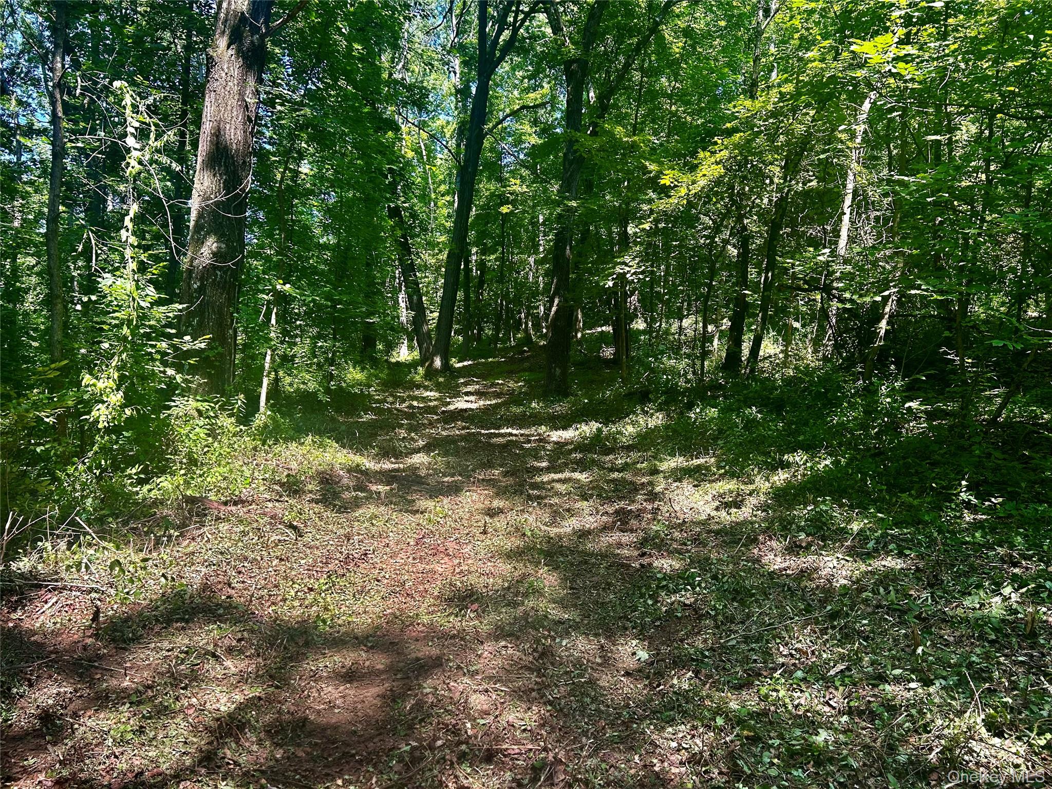 109 Deer Run Road